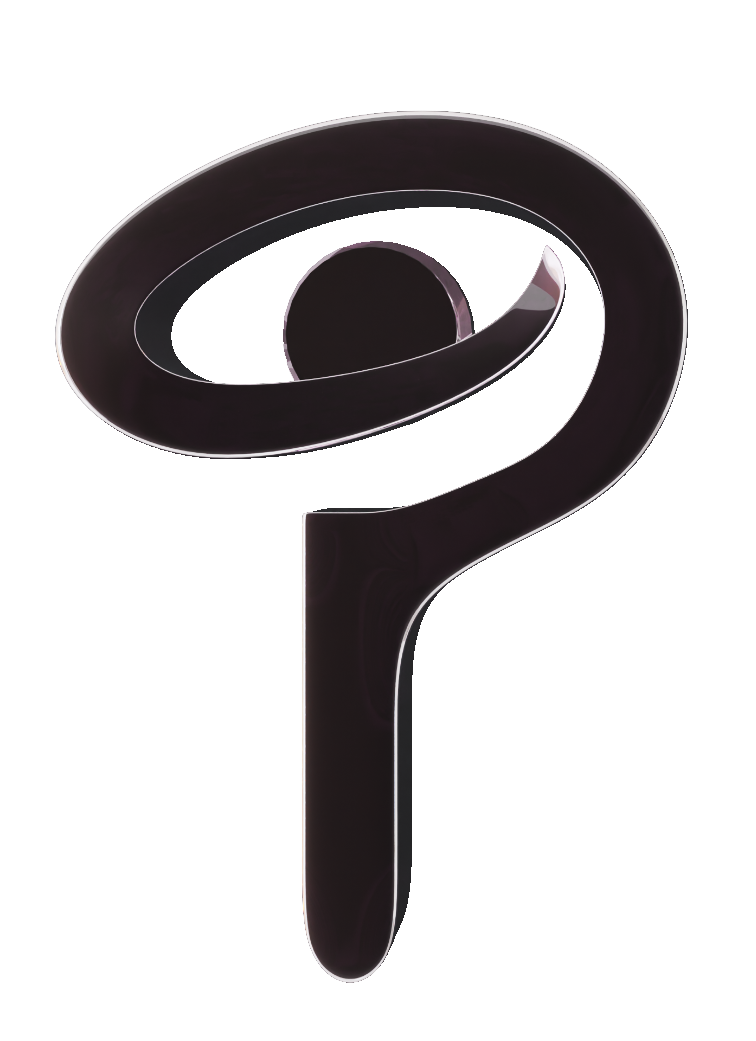 ParkSwap logo